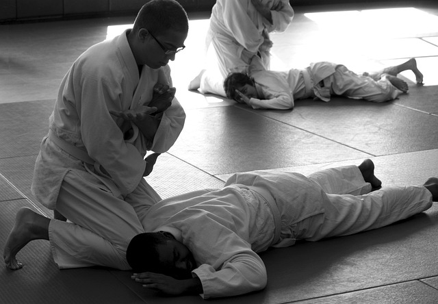 Aprende Aikido en Casa: Guía Completa para Iniciar tu Entrenamiento Personal
