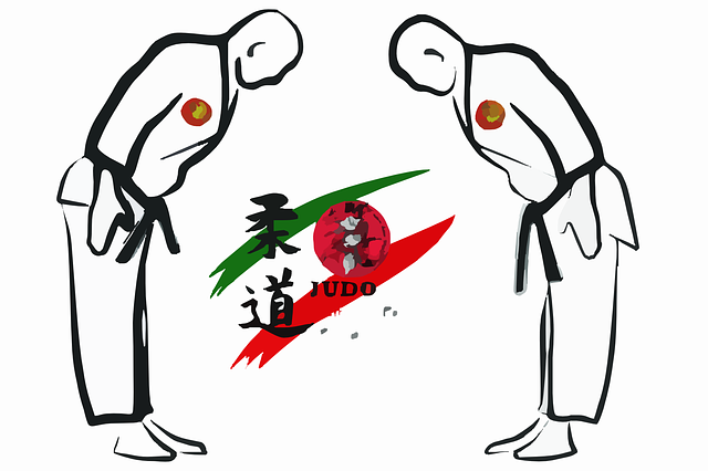 Explorando las Categorías del Taekwondo: Descubre tu Camino en las Artes Marciales