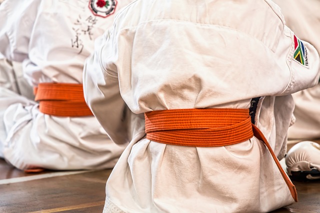 Diferencias clave entre Judo y Taekwondo: ¿Cuál es el arte marcial adecuado para ti?