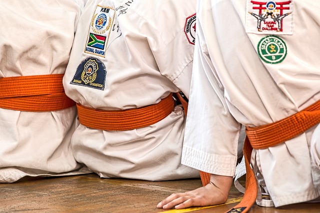 Los cinturones de karate en España: historia, niveles y significado