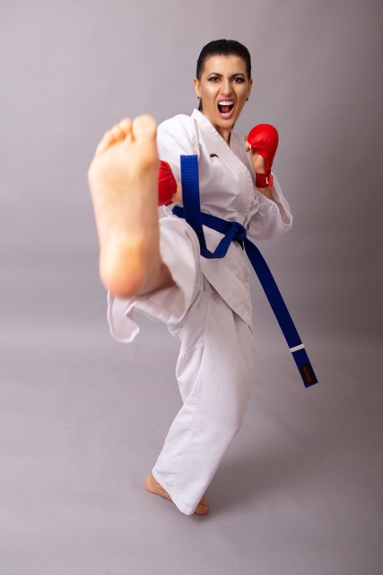 El mejor gimnasio de Taekwondo: Descubre dónde entrenar y superarte en esta disciplina marcial