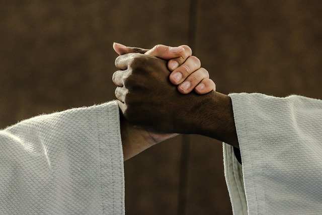 Judo Rivas: Descubre la tradición y destreza de esta antigua arte marcial