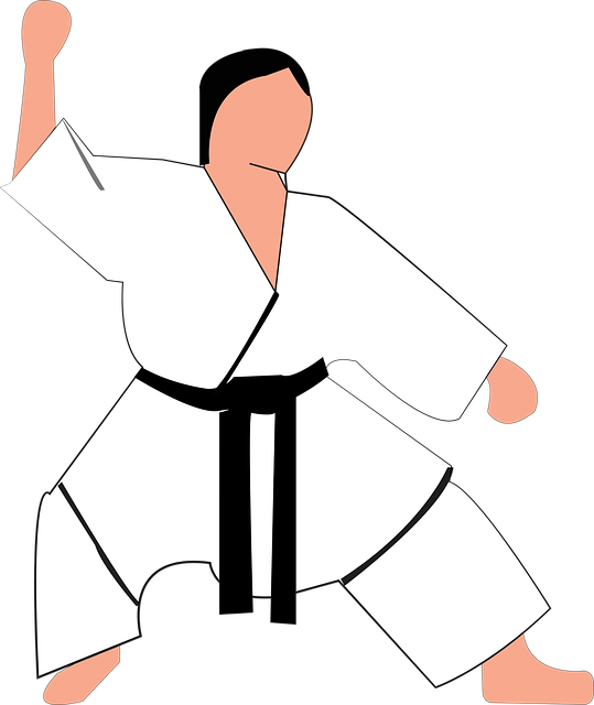 Karate Shotokan en Madrid: Descubre la excelencia de esta disciplina milenaria en la capital española