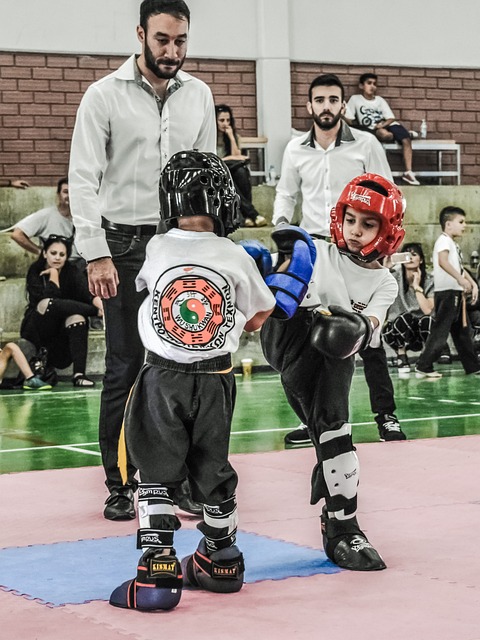 Kick Pads: El Equipo Esencial para Practicar Taekwondo con Precisión y Potencia