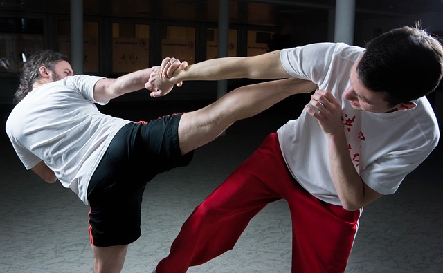 Kickboxing chino: La potencia de los puños y patadas en la milenaria tradición marcial