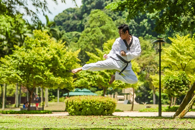 La diferencia entre karate y kung fu: un análisis comparativo de las artes marciales.