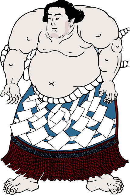 El mejor luchador de sumo en la actualidad: ¿quién se corona en el dohyō?