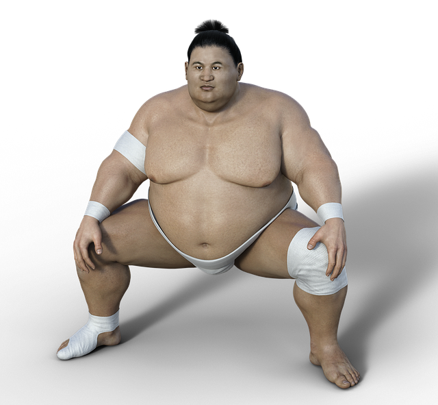 La salud de los luchadores de sumo: ¿Un estilo de vida saludable?