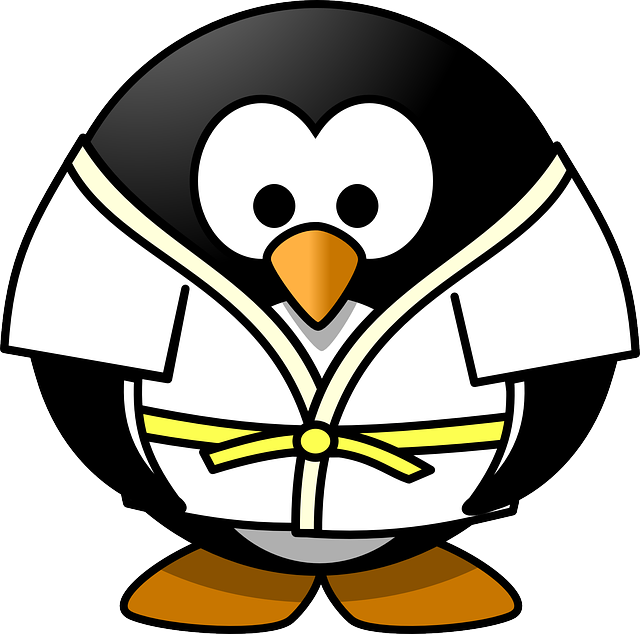 El significado y simbolismo de las medallas en el judo: Reconocimiento y excelencia en el tatami