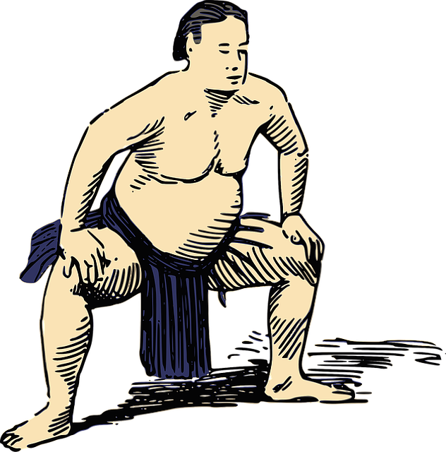 Descubre la fascinante tradición de las peleas de sumo: ¿Cómo son y qué las hace únicas?