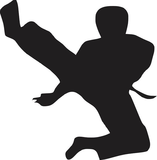 Karate para adultos: Descubre los beneficios de esta disciplina milenaria para tu bienestar físico y mental